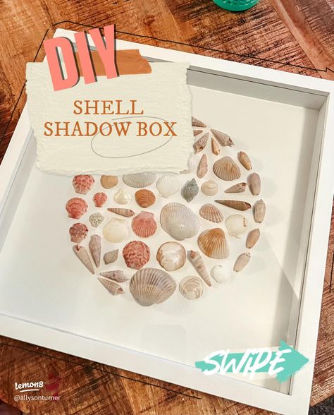 DIY SHELL SHADOW BOX | Gallery posted by AllyLea | Lemon8 Beach Shell Art, Seashell Shadow Box Ideas, Seashell Shadow Box Ideas Diy, Shell Shadow Box Ideas, Shadow Box Art Diy, Shell Display Ideas, Sand Dollar Shadow Box Diy, Shadow Box Shell Display, Sea Shell Shadow Box Ideas