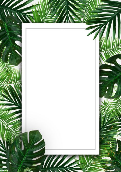 Tree Border Ideas, Green Palm Leaf Wallpaper, Palm Leaves Background, Tree Border, Palm Leaf Plant, Background Tattoo, Printable Leaves, Hello 30, Tree Borders