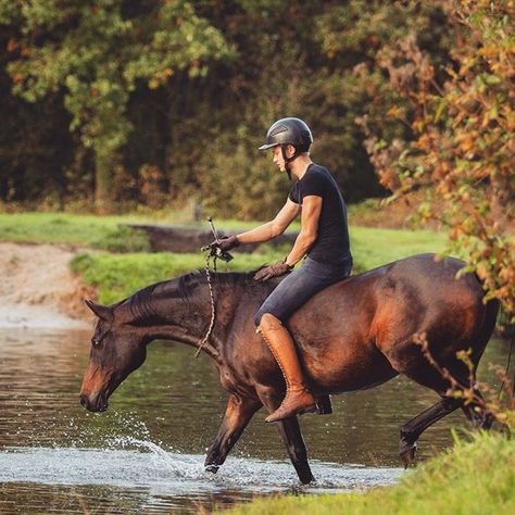 Bareback Riding, Horse Art Drawing, Show Jumping Horses, Horse And Human, Equestrian Aesthetic, Horse Anatomy, Horse Camp, Horse Riding Equestrian, English Horse