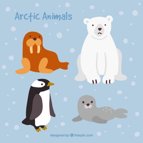 More than a million free vectors, PSD, photos and free icons. Exclusive freebies and all graphic resources that you need for your projects Arctic Nursery, Frozen Painting, Penguins And Polar Bears, Animal Art Projects, White Polar Bear, Polar Animals, Bear Clipart, Animal Cute, Arctic Animals