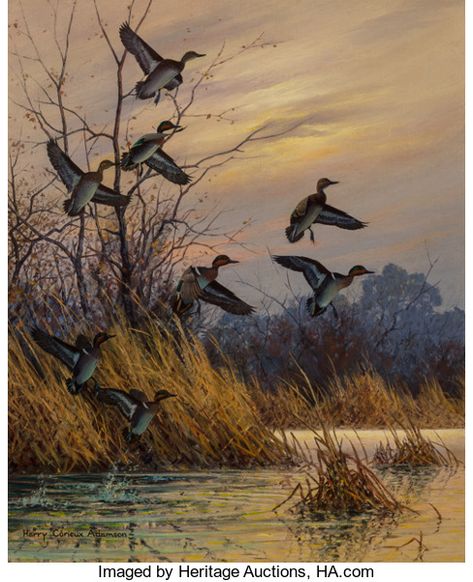 Michigan Birds, Ducks Flying, Waterfowl Art, Hunting Art, Duck Art, Wildlife Paintings, Duck Hunting, Art Licensing, Mallard