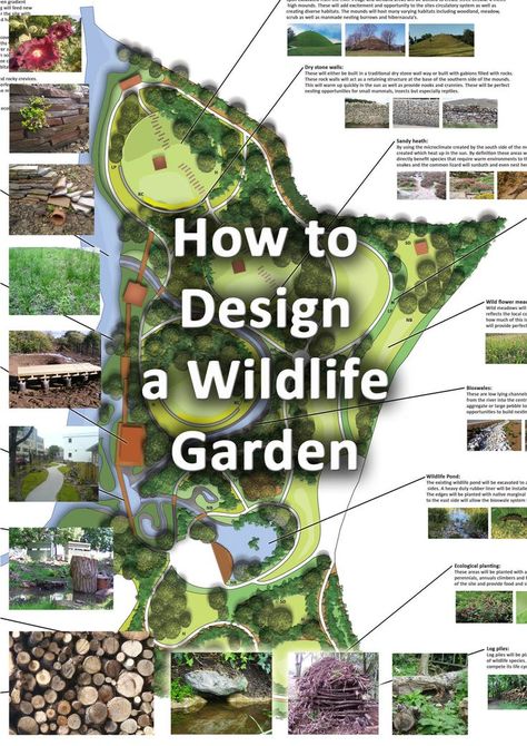 A wildlife garden design with a gallery of wildlife garden features Wildlife Garden Design, Food Forest Garden, Habitat Garden, Wildlife Garden, Piscina Natural, Permaculture Gardening, Garden Design Layout, Garden Steps, Garden Design Plans