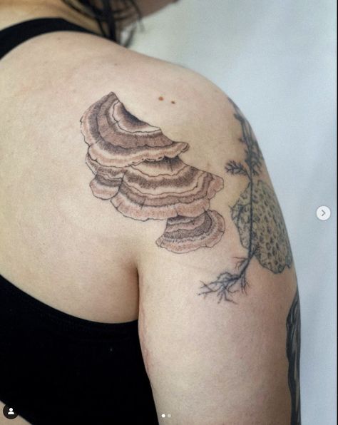 @statlew_ on instagram, don't remove credit Polypore Mushroom Tattoo, Turkey Tail Mushroom Tattoo, Chanterelle Mushroom Tattoo, June Tattoo, Small Nature Tattoo, Turkey Tail Mushrooms, Tattoo Dream, Japanese Leg Tattoo, River Tattoo