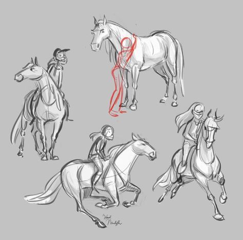 Ride Drawing, Horse Art Drawing, Armor Drawing, Horse Sketch, Horse Anatomy, Sketch Poses, Riding Horse, Body Reference Drawing, Book Illustration Art