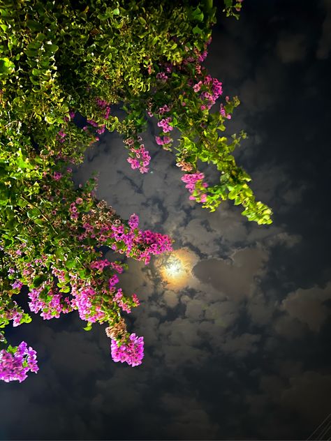 #moon #heart #flower #night #beauty #nature #sky Pastel Color Wallpaper, Flower Night, Night Sky Moon, Night Clouds, Ghost Photography, Night Beauty, Instagram Graphics, Clouds Photography, Beautiful Flowers Photos