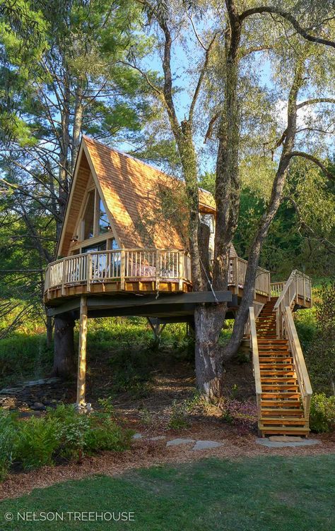 Treehouse Village, Adult Tree House, Luxury Tree Houses, Beautiful Tree Houses, Treehouse Masters, Treehouse Cabins, Treehouse Hotel, Building A Treehouse, Tree House Plans