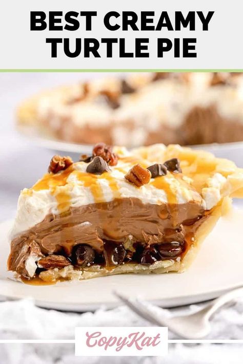 Lemon Pie Recipe Condensed Milk, Turtle Pie Recipe, Turtle Pie, Turtle Candy, Caramel Pecans, Chocolate Turtle, Pecan Chocolate, Caramel Pie, Favorite Pie Recipes