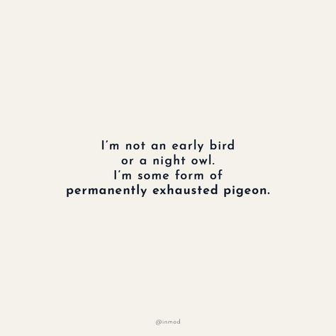 Inmod.com on Instagram: “Who else feels like they are a permanently exhausted pigeon?⁠” Exhausted Pigeon, Permanently Exhausted Pigeon, Pigeon, Feel Like, Influencer, Feelings, Tags, On Instagram, Pins