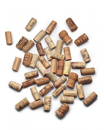 Slice a cork into disks and attach them to the bottom of a planter to allow drainage or to the saucer to protect surfaces. Wine Corks, Plants 101, Recycling Projects, Cork Projects, Wine Bottle Corks, Coarse Salt, Diy Casa, Bottle Corks, Domestic Goddess