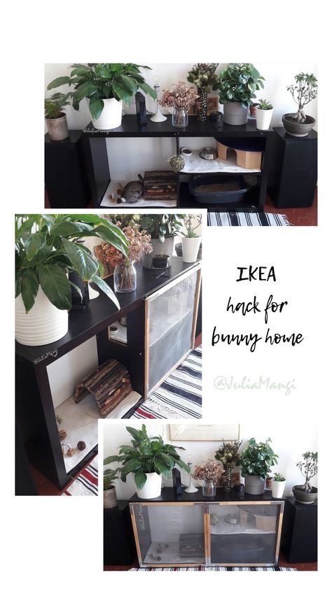 Ikea Bunny Hack, Bunny Setup, Indoor Bunny, Indoor Rabbit House, Diy Rabbit Hutch, Bunny Home, Bunny Hutch, Bunny Room, All About Rabbits