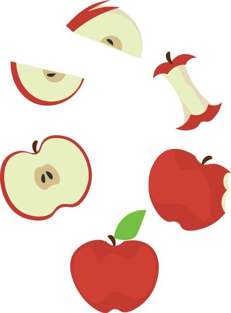 Apple Vector Half Cut Sliced Bitten Apple Slice Illustration, Apple Animation, Apple Template, Apple Images, Felted Projects, Paper Fruit, Apple Vector, Vector Animation, Typography Book