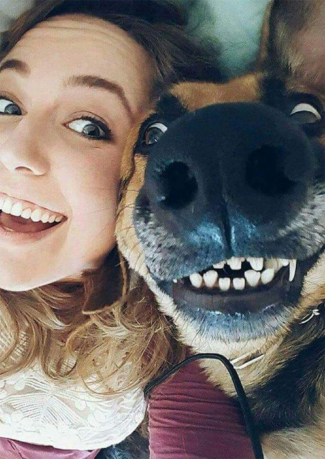 Sweet Dog Photoshoot Pet Photography, Dog Photography Poses, Animal Photoshoot, Photos With Dog, Dog Photoshoot, Me And My Dog, Perfect Selfie, Pet Animals, Airedale Terrier