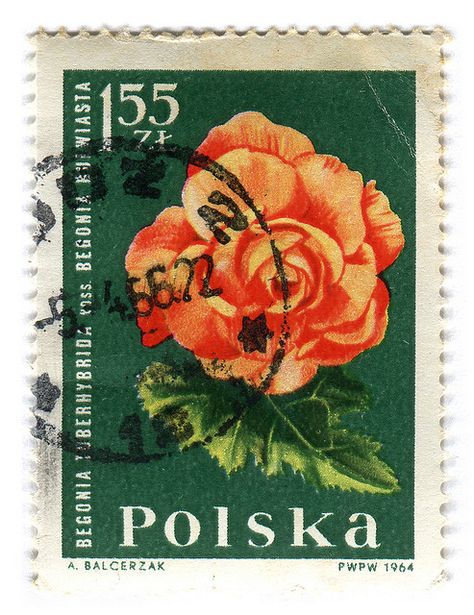 Postage Stamp Design, Rare Stamps, Magazine Collage, Postage Stamp Art, Vintage Postage Stamps, Collage Making, Vintage Postage, Scrapbook Printables, Post Stamp