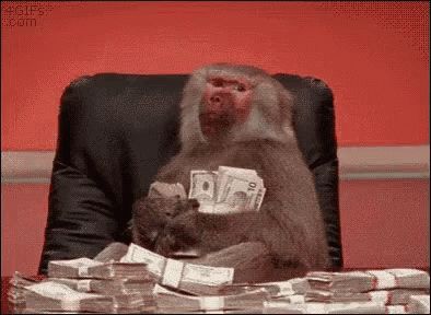 Monkey With Money Happy Withmoney GIF - Monkey With Money Happy Withmoney Swag - Discover & Share GIFs Money Monkey, Monkey Gif, Kindle Publishing, Monkeys Funny, Baboon, Tumblr Funny, Animal Gifs, Animated Gif, Cool Gifs