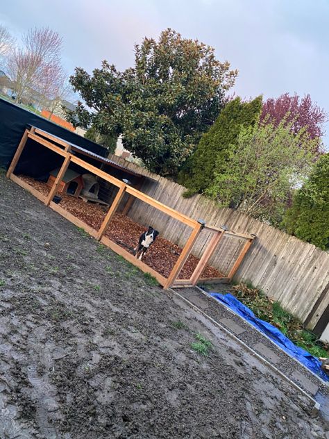 Diy Dog Pen Outdoor Cheap Pallet Wood, Diy Fenced In Yard For Dog, Dog Fenced In Area, Dog Play Area Backyard, Outdoor Dog Kennel Ideas Backyards, Diy Dog Pen Outdoor, Outside Dog Kennel Ideas Diy, Dog Pen Ideas Outdoor, Outdoor Dog Spaces