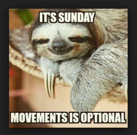 27 Funny Sunday Memes - True dat. Humour, Lazy Sunday Quotes, Funny Sunday Memes, Lazy Quotes Funny, Sloth Memes, Lazy Quotes, Sloth Meme, Sunday Meme, Sunday Humor