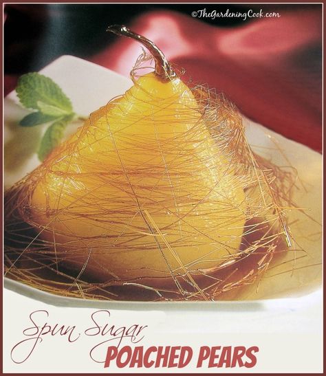 What a delightful dessert for a fancy dinner party! Spun Sugar Poached pears. Get the recipe: http://thegardeningcook.com/spun-sugar-poached-pears/ Spun Sugar, Fancy Dinner Party, Poached Pears, Fruit Dishes, Fancy Desserts, Lemon Meringue, Fancy Dinner, Lemon Curd, Fruit Recipes