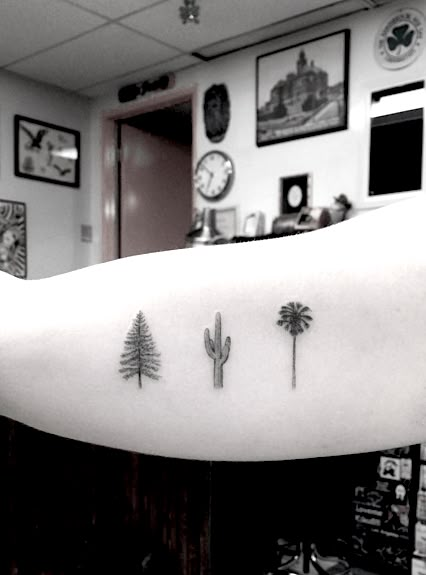 Woo Tattoo, Dr Woo Tattoo, Palm Tree Tattoo Ankle, Tree Tattoo Ankle, Pine Tattoo, Cactus Tree, Dr Woo, Tattoo Tree, Cactus Tattoo