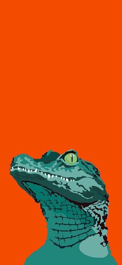 Caiman, Alligator Wallpaper, Crocodile Illustration, Alligators Art, Tattoo Animals, Arte Peculiar, Posca Art, Arte Pop, Animal Wallpaper