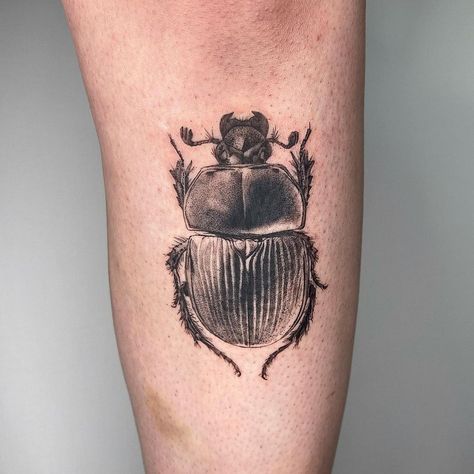 Cute Beetle Tattoo, Beetle Tattoos, Scarab Beetle Tattoo, Scientific Tattoo, Apollo Tattoo, Back Of Thigh Tattoo, Scarab Tattoo, Beetle Tattoo, Funky Tattoos