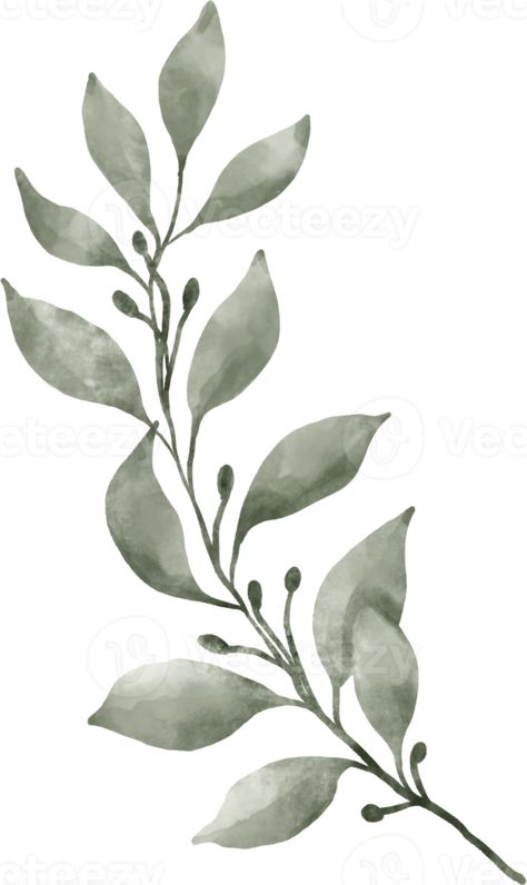 Greenery Leaf Watercolor Green Png, Leaves Clipart, Leaf Watercolor, Leaf Clipart, Sage Leaves, Tree Saw, Wedding People, Heart Tree, Beading Ideas