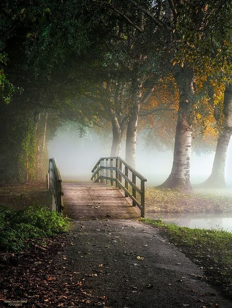 Twitter Driveway Landscape, Magical Pathways, Foggy Forest, Places In The World, Beautiful Nature Wallpaper, Beautiful Places In The World, Alam Yang Indah, Nature Aesthetic, Fantasy Landscape