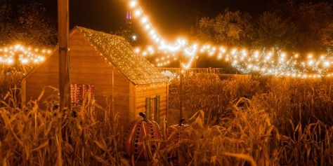 October has arrived, so let the fall festivals begin! In Colorado, celebrate the season with a corn maze like these starting soon. Haunted Corn Maze, Hay Maze, Haunted Maze, Haunted Hayride, Amazing Halloween Costumes, What Is Halloween, Fall Bucket List, Corn Maze, Halloween Costume Ideas