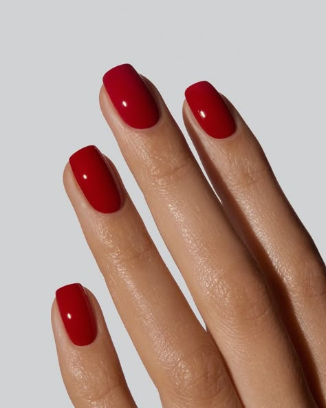 Glossy and bursting with flavour, this colour works on everyone. A ripe cherry red with a hint of pink. Shade is MORELLO. Romantic Red Nails, Red Shades Nails, Squoval Red Nails, Different Shades Of Red Nails, Crimson Red Nails, Red Color Nails, Nails For Summer Vacation, Hot Red Nails, Fall Nails Squoval