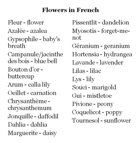 Flowers in French French Flowers Name, French Cute Nicknames, Coquette French Words, French Username Ideas Instagram, Flowers Username Ideas, Cute Words In French, French Nicknames Aesthetic, French Cute Words, French Username