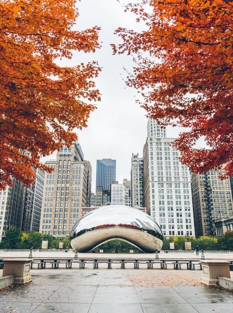 Chicago Cloud Gate, Millenium Park Chicago, Millenium Park, Chicago Pictures, Chicago Street, Visit Chicago, Vision Board Pictures, Chicago Travel, Chicago Photography