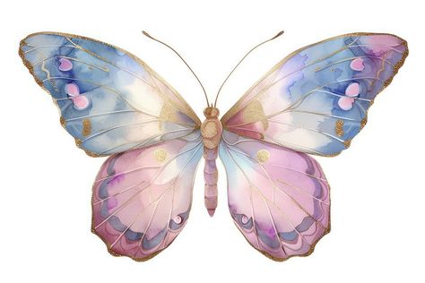 Butterfly animal insect moth. | premium image by rawpixel.com / Tanat Chittirungsan Butterfly Palette, Image Of Butterfly, Silhouette Butterfly, Pastel Butterfly, Butterfly Animal, Animal Body Parts, Fairy Butterfly, Fairy Stickers, Pastel Butterflies