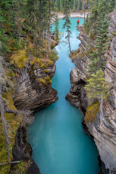 Information, additional photos, and tips on the most beautiful day hikes in the Canadian Rockies. Canadian Road Trip, Maligne Lake, Beautiful Hikes, Hiking Destinations, Canadian Rockies, Banff National Park, Day Hike, Fall Photos, Beautiful Places To Travel