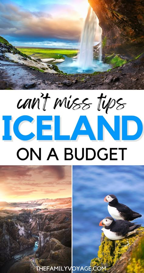 Find out how to enjoy Iceland's spectacular scenery and unique culture without overspending. Our budget travel tips will help you save on flights, accommodations, food, and activities. Perfect for thrifty adventurers! #iceland #Travel #BudgetTravel | Iceland on a budget | Iceland travel guide | Iceland travel tips Things To Do In Iceland, Iceland Vacation, Iceland Travel Guide, Iceland Travel Tips, Iceland Itinerary, Trip To Iceland, Budget Travel Destinations, Visit Iceland, Beautiful Travel Destinations