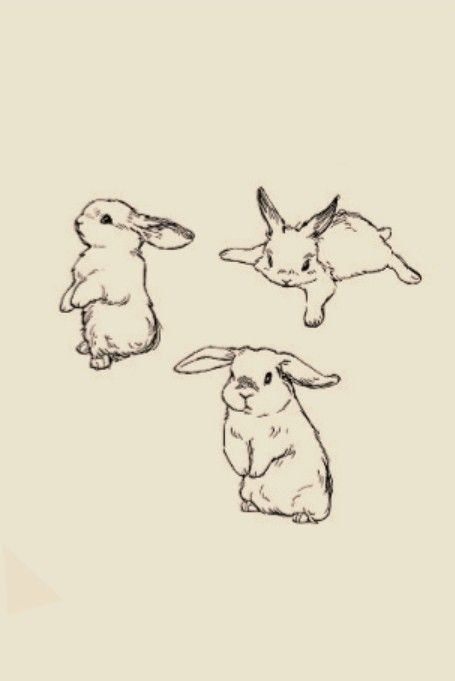 March Hare Tattoo, Two Animal Tattoos, Moon And Rabbit Tattoo, Rabbit Tattoos For Women, Fluffy Bunny Tattoo, Vintage Bunny Tattoo, Rabbit Heart Tattoo, Three Bunnies Tattoo, Bunny Drawing Tattoo