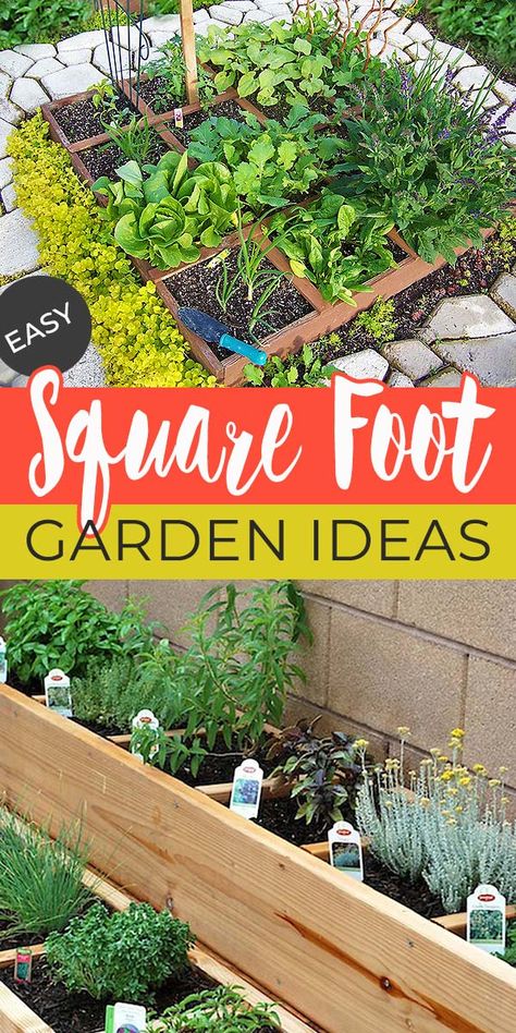 Easy Steps To Square Foot Gardening Success • The Garden Glove Square Foot Gardening Layout, Gardening Essentials, Square Foot Garden, Beginners Gardening, Raised Gardens, Garden Bed Layout, Companion Gardening, Homestead Ideas, Vegetable Garden Raised Beds