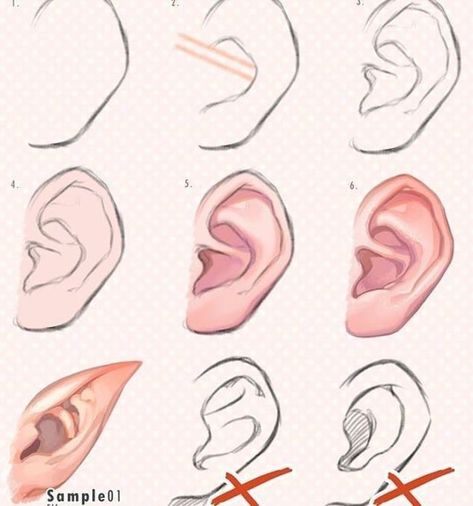 Otto Schmidt, How To Draw Ears, Tapeta Harry Potter, Drawing Hair Tutorial, Digital Art Beginner, 캐릭터 드로잉, Anime Drawings Tutorials, Art Tutorials Drawing, Digital Art Tutorial