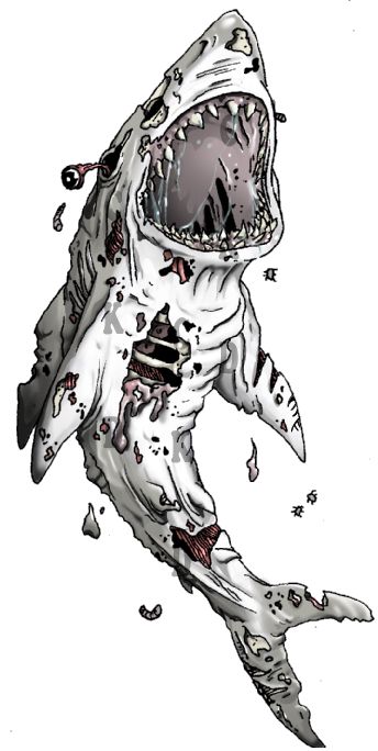 Zombie shark Zombie Shark, Zombie Drawings, Zombie Tattoos, Tattoo Samples, Shark Drawing, Shark Tattoo, Zombie Art, Shark Art, Shark Tattoos