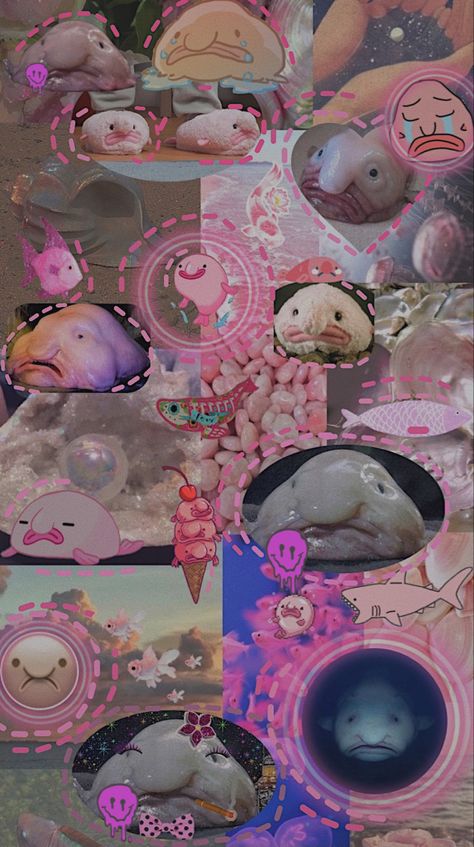 Blobfish Aesthetic, Blob Fish Wallpaper, Blobfish Wallpapers, Blobfish Tattoo, Blob Fish In Water, Fish Aesthetic Wallpaper, Cute Blobfish, Goldfish Wallpaper, Blob Fish