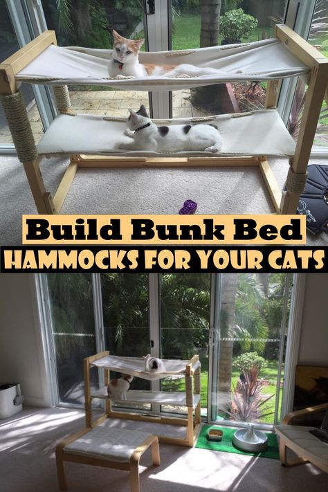 Bedroom For Cats, Diy Cat Projects, Cat Home Diy, Cat Room Ideas Diy, Diy Cat Wall Ideas, Cat Playground Diy, Diy Cat Furniture, Diy Cat Stuff, Hammock Ideas