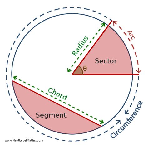 Parts Of Circle, Parts Of A Circle, Circle Geometry, Mathematics Geometry, Sat Math, Math Charts, Learning Mathematics, Math Tutorials, Math Notes