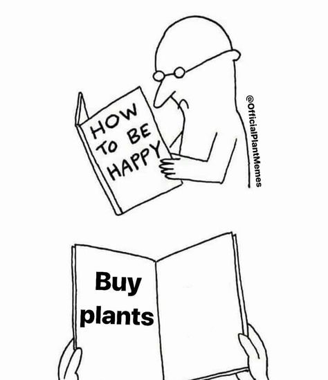 Plant Jokes, Baby Succulents, Plants Quotes, Well Hello There, Plant Parent, World Birds, Garden Quotes, Succulent Care, Plant Aesthetic