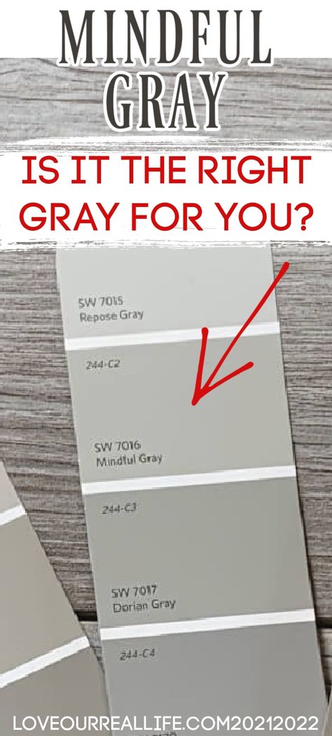 Sw 7016 Mindful Gray, Sherwin Williams Mindful Gray, Sherman Williams Paint, Sw Repose Gray, Neutral Gray Paint, Perfect Greige, Mindful Gray Sherwin Williams, Exterior Gray Paint, Repose Gray Sherwin Williams