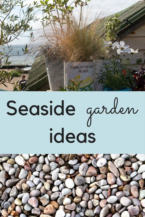 Coastal Front Garden, Seashells In The Garden, Coastal Backyard Landscaping, Beach Backyard Ideas, Beach House Landscaping Ideas, Seaside Garden Ideas, Coastal Garden Ideas, Beach Garden Design, Coastal Landscaping Ideas