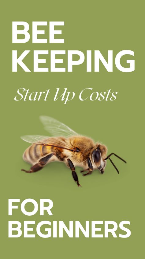 Your first beekeeping start-up cost will be your bees. You might be lucky enough to catch a wild swarm for free, but most people begin beekeeping by purchasing a nuc of bees or a package of bees. PRICES MAY VARY IN YOUR AREA OR DEPENDING ON WHERE YOU PURCHASE THEM, BUT YOU CAN EXPECT YOUR INITIAL BASIC BEEKEEPING START-UP COSTS TO BE AROUND $400. How To Start A Bee Farm, Bee Keeping For Beginners, Bee Nuc, Dream Environment, Beekeeping For Beginners, Worker Bee, Bee Colony, Beekeeping Tools, Bee Keeping Supplies