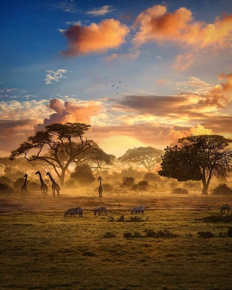 Zimbabwe is a landlocked country in southern Africa known for its dramatic landscape and diverse wildlife, much of it within parks,… Landscape Photography Tips, African Jungle, Africa Photography, African Sunset, Out Of Africa, African Wildlife, African Animals, Alam Yang Indah, Zimbabwe