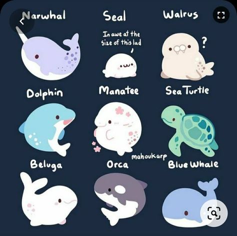 Chibi Ocean Animals, Cute Sea Animals Drawing, Cute Jellyfish, Cute Kawaii Animals, Cute Animal Drawings Kawaii, Art Manga, 캐릭터 드로잉, Cute Kawaii Drawings, Cute Cartoon Drawings