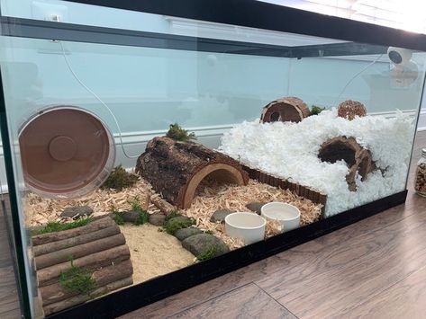 natural hamster cage tank wood Gerbil Tank Ideas, Cool Hamster Cages Diy, 20 Gallon Hamster Tank Ideas, 40 Gallon Hamster Tank Ideas, 10 Gallon Hamster Tank Ideas, Hamster Bin Cage Set Up, 40 Gallon Hamster Tank, Hamster Tank Ideas, Bin Cages For Hamsters