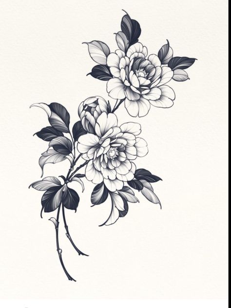 Peony Ink Drawing, Floral Leaf Tattoo, Peony Flower Tattoos, Flor Tattoo, Peony Drawing, Japanese Flower Tattoo, Soul Tattoo, Chic Tattoo, Flower Line Drawings