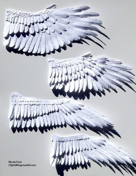 Wing Types, Diy Angel Wings, Cosplay Wings, Paper Wings, Arte Peculiar, Wings Drawing, Wings Art, Paper Birds, Bird Wings