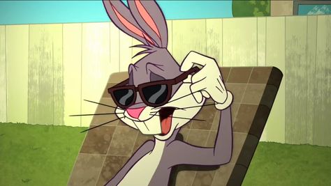 the looney tunes show Bugs Bunny Memes, Bugs Bunny Funny, Bugs Bunny Quotes, Tapsi Hapsi, Bunny Meme, Bunny Quotes, Looney Tunes Wallpaper, David Villa, Looney Tunes Show